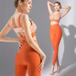 Leopard Print High Waist Legging
